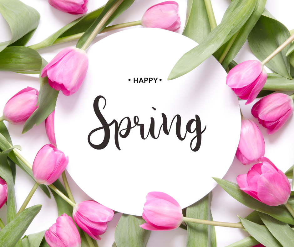 Spring Spring Cleaning with Collins Cleaners