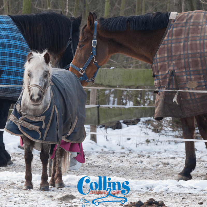 horse-blanket horse-blanket
