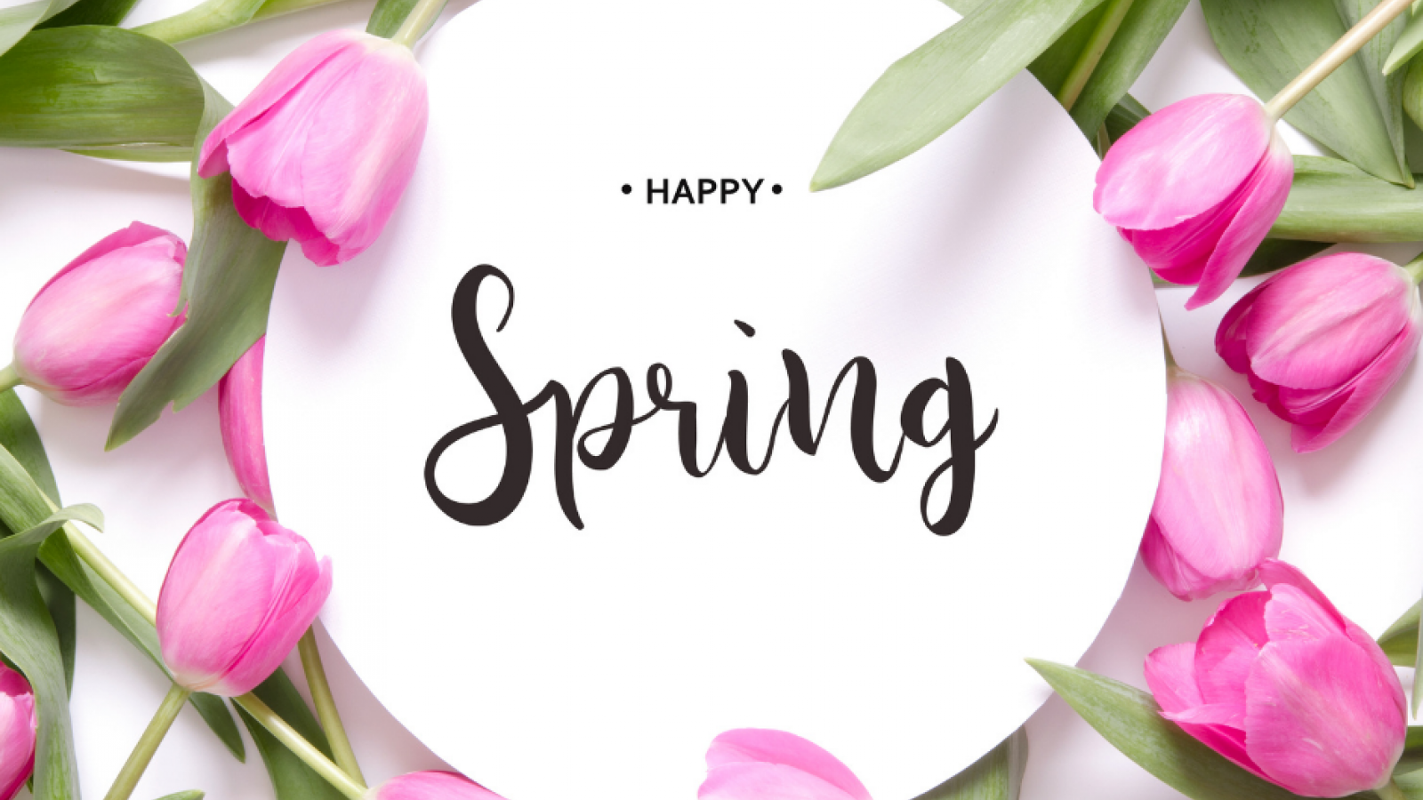 Spring Spring Cleaning with Collins Cleaners